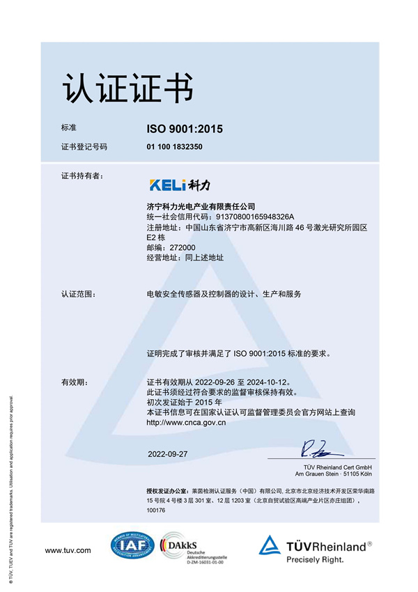 德國萊茵TUV質量體系認證證書中文